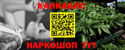 шишки Боровичи