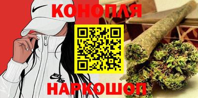 шишки Боровичи