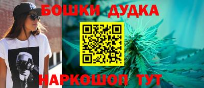 шишки Боровичи