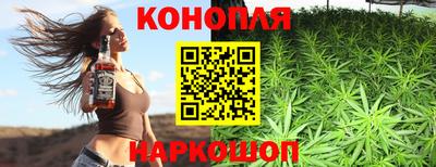 шишки Боровичи