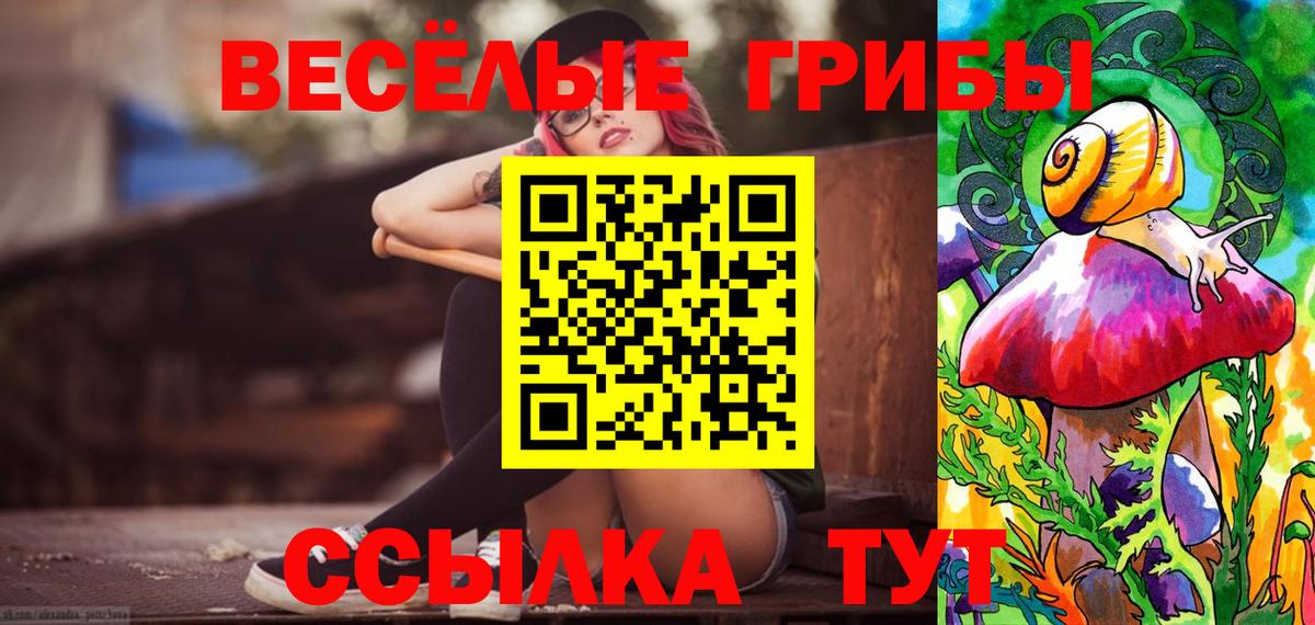 Псилоцибиновые грибы мухоморы Ижевск