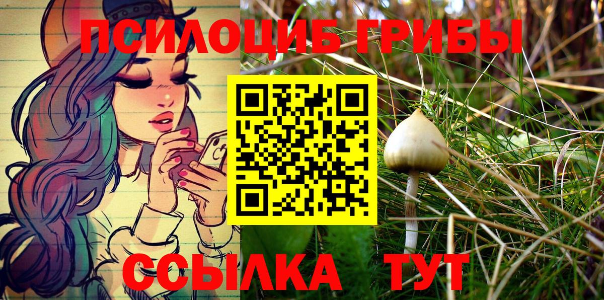 Галлюциногенные грибы MAGIC MUSHROOMS  Псилоцибиновые грибы Psilocybe  Ижевск  Вход с VPN 